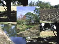 Terreno en venta en Plan de Ayala, Cuautla, Morelos