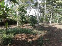 Terreno en venta en San Camilo, Fortín, Veracruz de Ignacio de la Llave