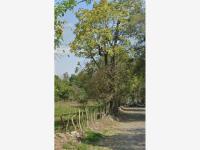Terreno en venta en Cofradia de Suchitlan, Comala, Colima