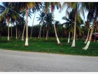 Terreno en venta en Carlos Rovirosa 2da Sección, Centla, Tabasco