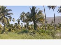 Terreno en venta en Cerro de Ortega, Tecomán, Colima