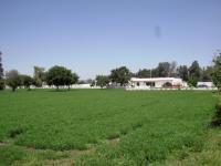 Finca-Rancho en remate en Empalme Escobedo Centro, Comonfort, Guanajuato
