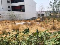 Terreno en renta en Paseos del Marques, El Marqués, Querétaro