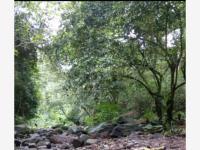 Terreno en venta en Suchitlan, Comala, Colima