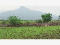 Terreno en venta en Cuauhtemoc, Cuauhtémoc, Colima