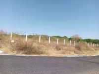Terreno en venta en Nogueras, Comala, Colima