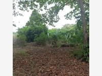 Terreno en venta en Jesús Carranza, Comalcalco, Tabasco