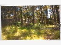 Terreno en venta en Huertas de San Pedro, Huitzilac, Morelos