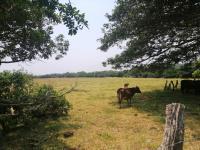 Terreno en venta en Anton Lizardo, Alvarado, Veracruz de Ignacio de la Llave