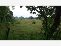 Terreno en venta en El Buzón, Manlio Fabio Altamirano, Veracruz de Ignacio de la Llave