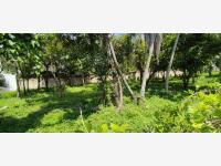 Terreno en venta en San Nicolas, Córdoba, Veracruz de Ignacio de la Llave