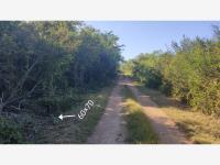 Terreno en venta en Conkal, Conkal, Yucatán