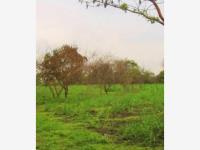 Finca-Rancho en venta en Campestre, Villa de Álvarez, Colima