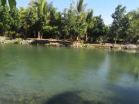 Finca-Rancho en venta en Coquimatlan, Coquimatlán, Colima