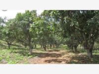 Terreno en venta en Cerro de Ortega, Tecomán, Colima