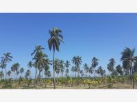 Terreno en venta en Cerro de Ortega, Tecomán, Colima