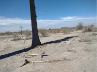 Terreno en venta en Agrícola la Popular, Gómez Palacio, Durango