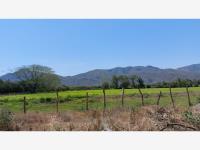 Terreno en venta en Cerro de Ortega, Tecomán, Colima