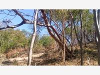 Terreno en venta en Santa Maria Huatulco Centro, Santa María Huatulco, Oaxaca