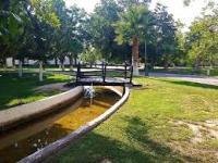 Terreno en venta en San Armando, Torreón, Coahuila de Zaragoza