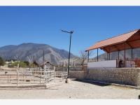 Terreno en venta en Ayuntamiento, Arteaga, Coahuila de Zaragoza