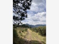 Terreno en venta en San Antonio el Paso, Omitlán de Juárez, Hidalgo