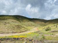 Terreno en venta en Francisco Zarco (Valle de Guadalupe), Ensenada, Baja California