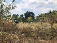 Terreno en venta en Bambú, Jiutepec, Morelos