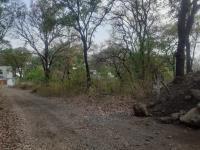 Terreno en venta en San Juan Tlacotenco, Tepoztlán, Morelos