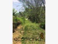 Terreno en venta en Briones, Coatepec, Veracruz de Ignacio de la Llave