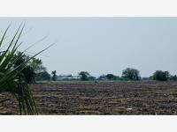 Finca-Rancho en venta en Tlalixcoyan, Tlalixcoyan, Veracruz de Ignacio de la Llave