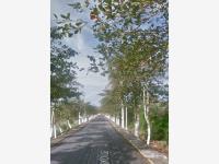 Terreno en venta en Playa de Vacas, Medellín de Bravo, Veracruz de Ignacio de la Llave