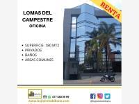 Oficina en renta en Lomas del Campestre, León, Guanajuato Oficina en renta en Lomas del Campestre, León, Guanajuato