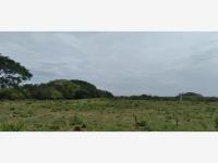 Finca-Rancho en venta en Piedras Negras, Tlalixcoyan, Veracruz de Ignacio de la Llave