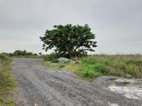 Terreno en venta en Mandinga y Cardón, Alvarado, Veracruz de Ignacio de la Llave Terreno en venta en Mandinga y Cardón, Alvarado, Veracruz de Ignacio de la Llave