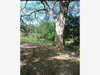 Terreno en venta en Primero de La Palma, Medellín de Bravo, Veracruz de Ignacio de la Llave Terreno en venta en Primero de La Palma, Medellín de Bravo, Veracruz de Ignacio de la Llave