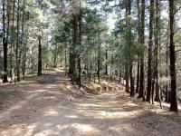 Terreno en venta en Arenal, Huixquilucan, México