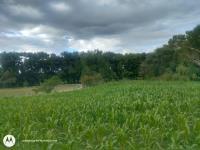 Terreno en venta en Aculco de Espinoza, Aculco, México