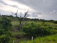 Terreno en venta en La Antigua Veracruz, La Antigua, Veracruz de Ignacio de la Llave