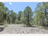 Terreno en venta en Los Llanos, Arteaga, Coahuila de Zaragoza Terreno en venta en Los Llanos, Arteaga, Coahuila de Zaragoza