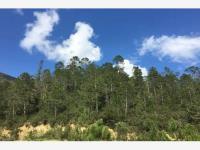 Terreno en venta en Los Lirios, Arteaga, Coahuila de Zaragoza