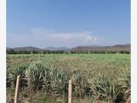 Terreno en venta en Cuauhtemoc, Cuauhtémoc, Colima
