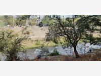 Terreno en venta en Pablo Torres Burgos, Cuautla, Morelos