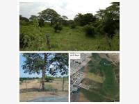 Terreno en venta en Rincón de Palma Real, Veracruz, Veracruz de Ignacio de la Llave
