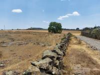 Terreno en venta en Jilotepec de Molina Enríquez, Jilotepec, México