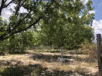 Terreno en venta en Los Hoyos (El Potrero), Parras, Coahuila de Zaragoza Terreno en venta en Los Hoyos (El Potrero), Parras, Coahuila de Zaragoza