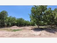 Terreno en venta en La Joya, Arteaga, Coahuila de Zaragoza