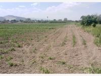 Terreno en venta en Carlos Real (San Carlos), Lerdo, Durango