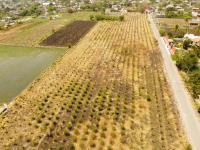 Terreno en venta en Xochitepec Centro, Xochitepec, Morelos