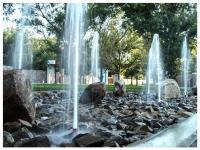Terreno en venta en Peña Alta, Saltillo, Coahuila de Zaragoza